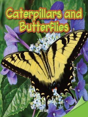 cover image of Caterpillars and Butterflies